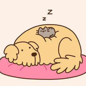 Meet your Posher, Sophia